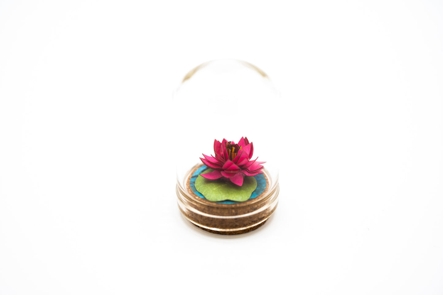 Mini Paper Water Lily Terrarium, Desk Decor, Gift