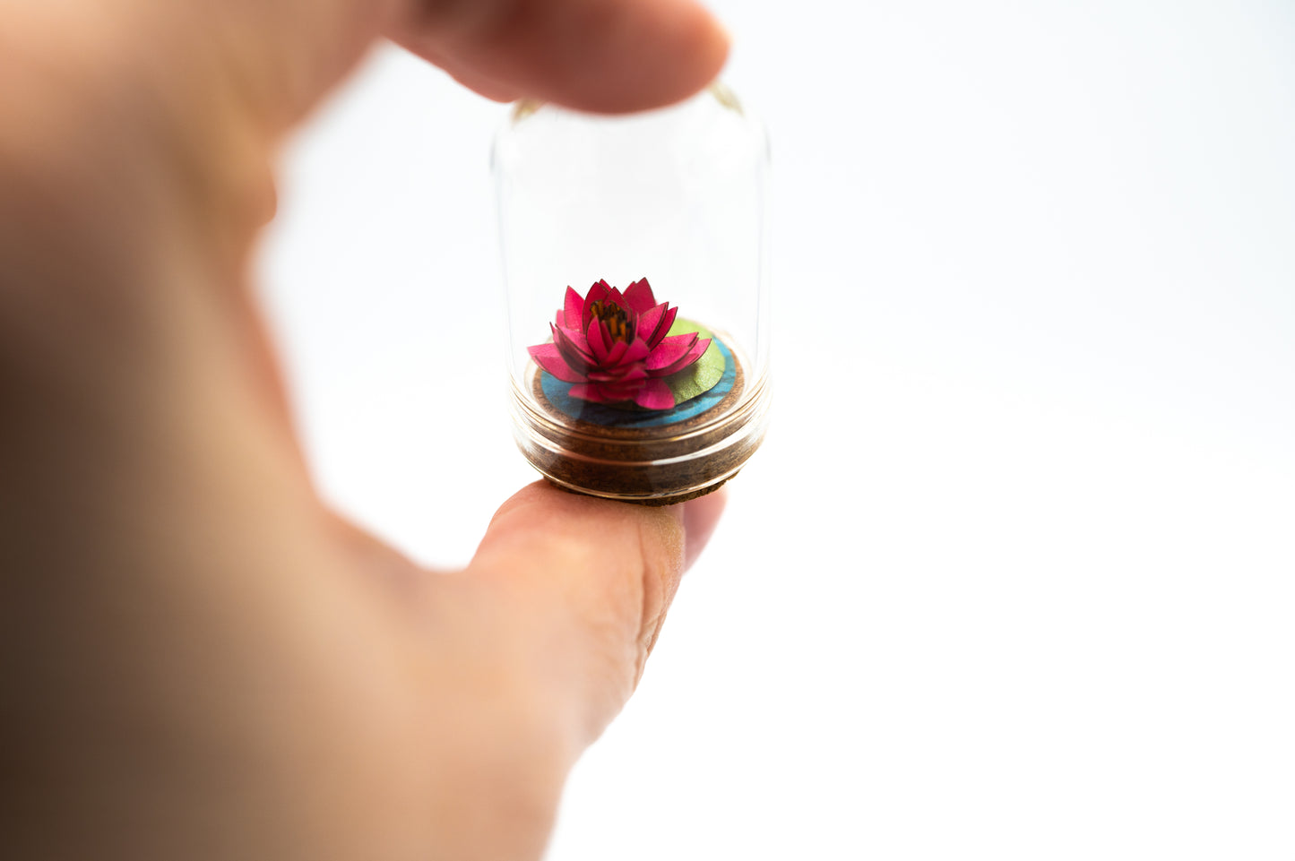 Mini Paper Water Lily Terrarium, Desk Decor, Gift