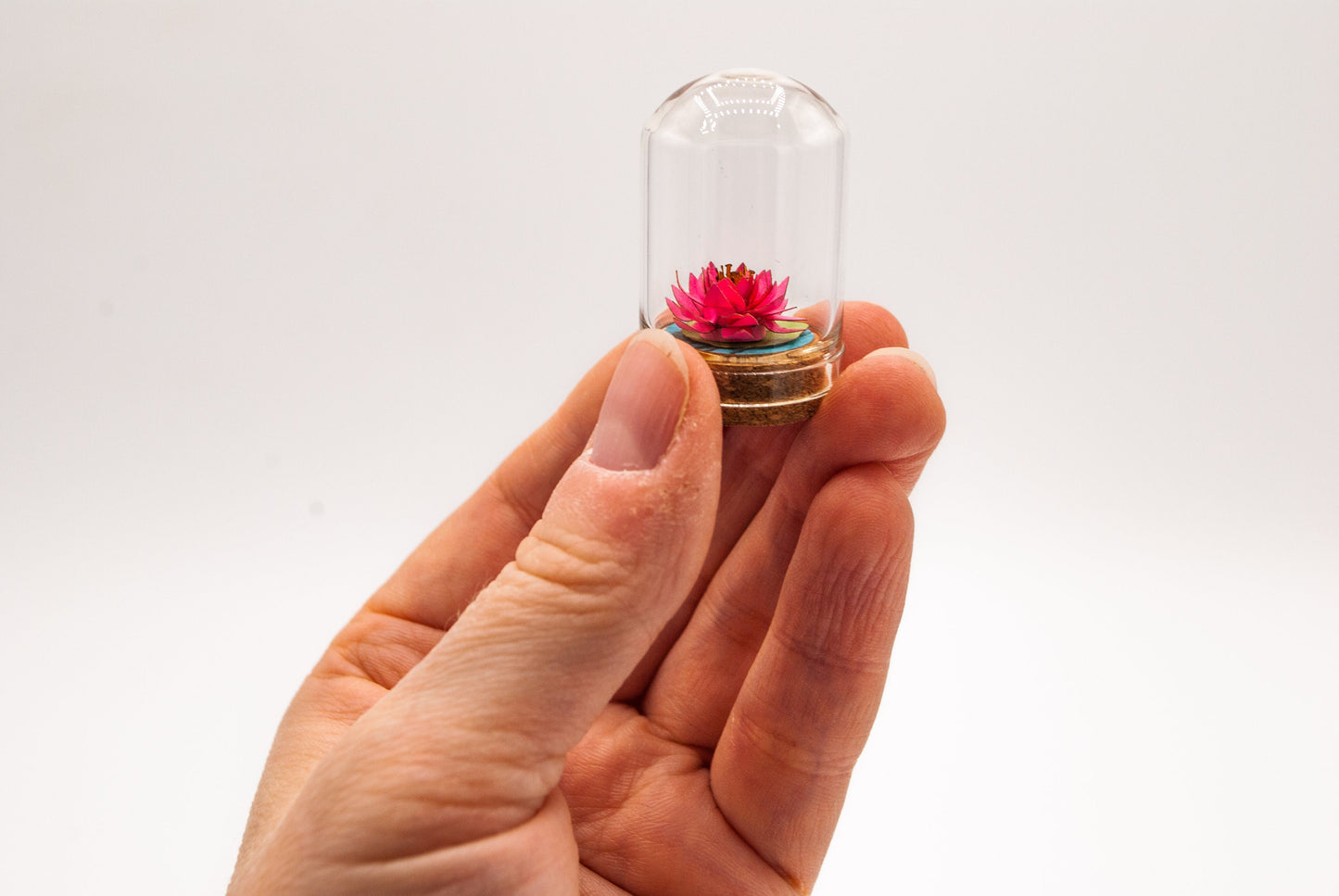 Mini Paper Water Lily Terrarium, Desk Decor, Gift