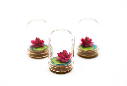 Mini Paper Water Lily Terrarium, Desk Decor, Gift