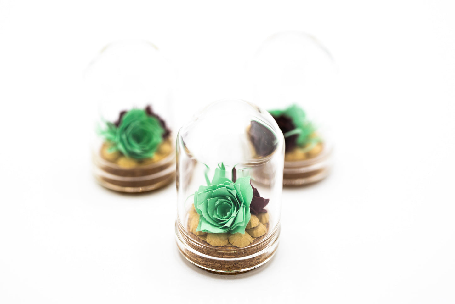 Mini Paper Succulent Terrarium, Desk Decor, Gift